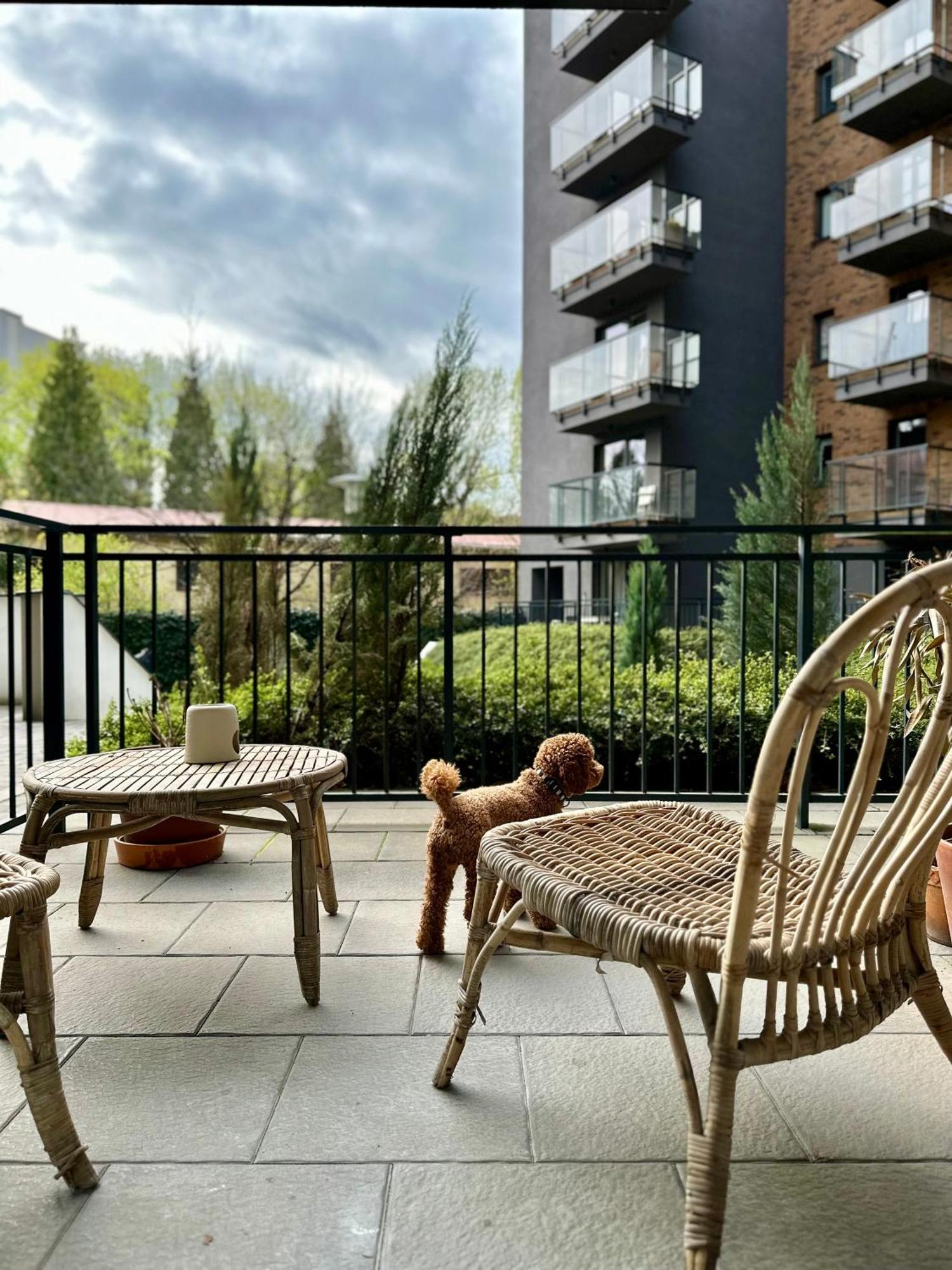 Pure Apartment N°1 Wrocław Kültér fotó